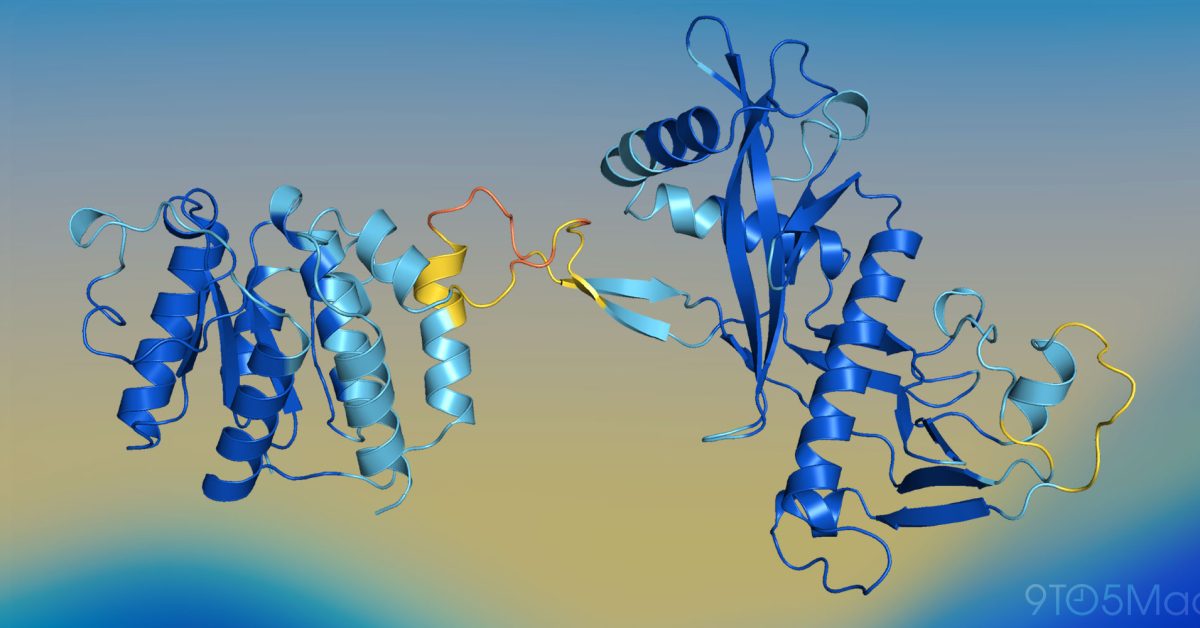 Исследователи Apple создали SimpleFold: облегченный ИИ для предсказания структуры белков